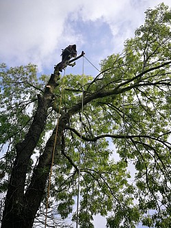 Ash removal.